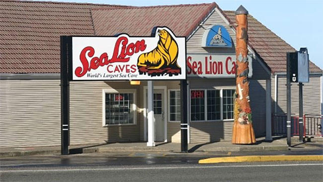 A Longtime Dream of Selling Calico Fudge Comes True, Sea Lion Caves
